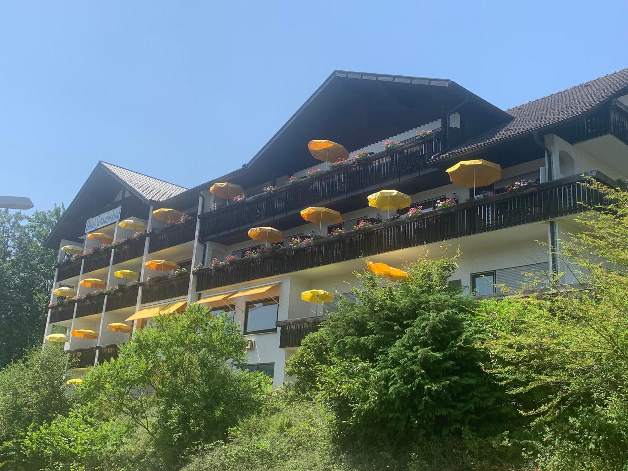 Hotel Schauinsland Bad Peterstal-Griesbach Εξωτερικό φωτογραφία